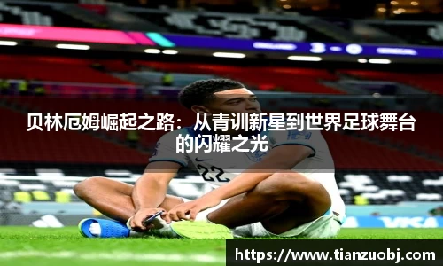 星空·综合体育中国官方网站